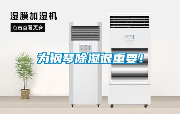 為鋼琴除濕很重要！