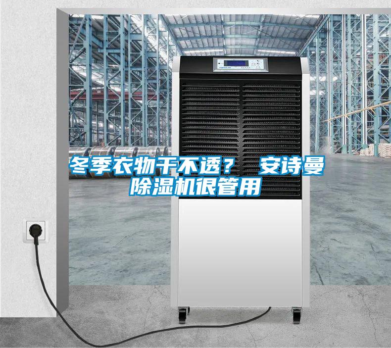 冬季衣物干不透？ 安詩曼除濕機很管用