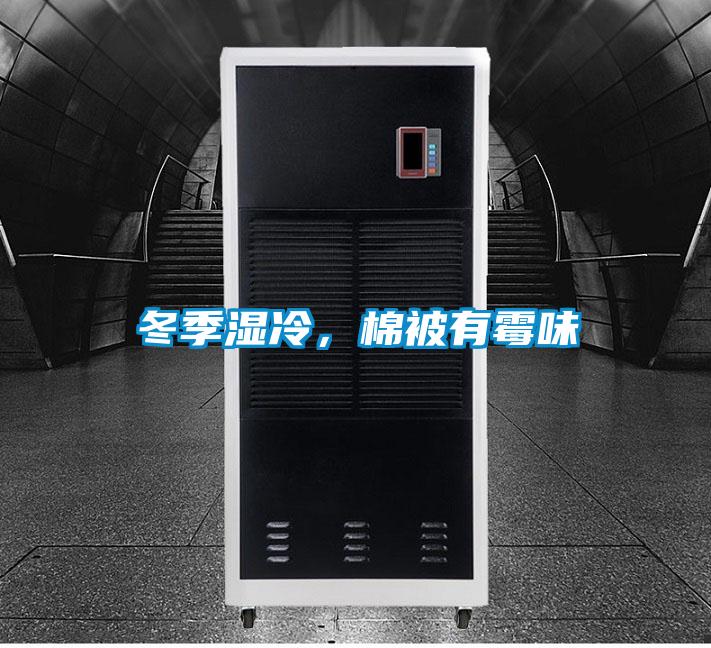 冬季濕冷，棉被有霉味