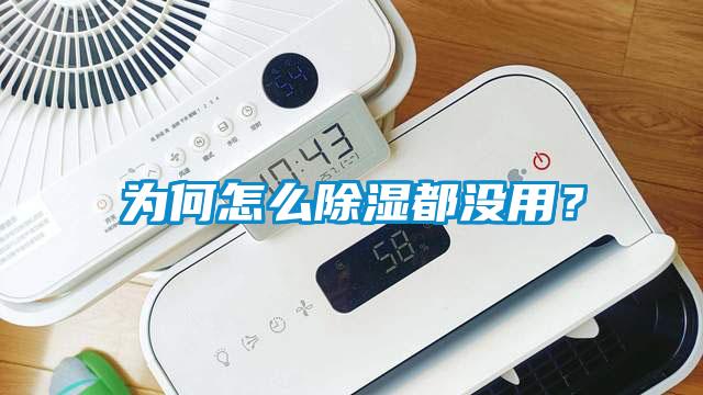 為何怎么除濕都沒用？