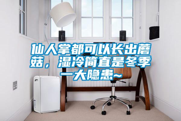 仙人掌都可以長出蘑菇，濕冷簡(jiǎn)直是冬季一大隱患~
