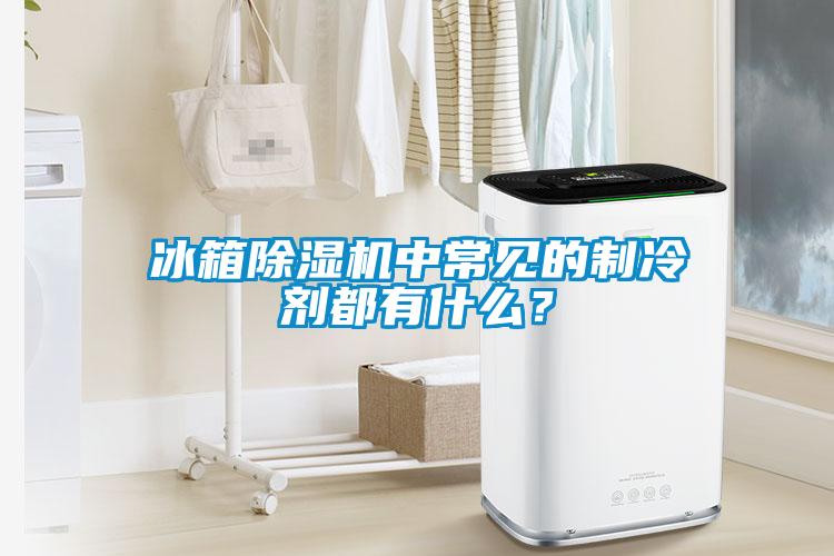 冰箱除濕機中常見的制冷劑都有什么？