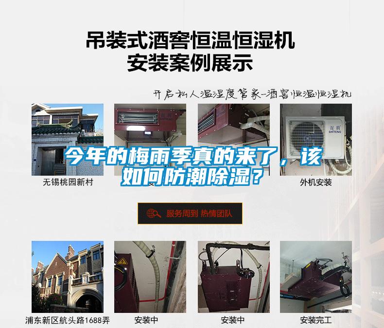 今年的梅雨季真的來了，該如何防潮除濕？