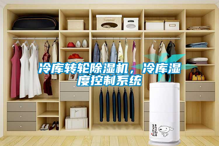 冷庫(kù)轉(zhuǎn)輪除濕機(jī)，冷庫(kù)濕度控制系統(tǒng)
