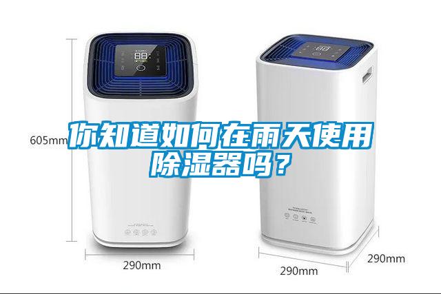 你知道如何在雨天使用除濕器嗎？