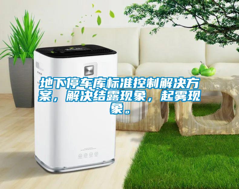 地下停車庫(kù)標(biāo)準(zhǔn)控制解決方案，解決結(jié)露現(xiàn)象，起霧現(xiàn)象。