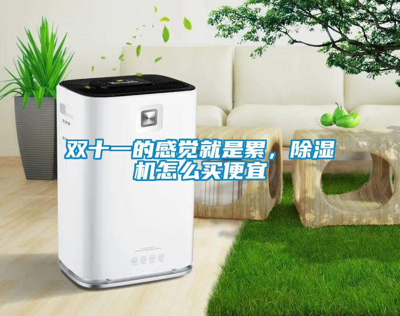 雙十一的感覺(jué)就是累，除濕機(jī)怎么買(mǎi)便宜