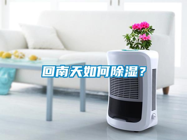 回南天如何除濕？