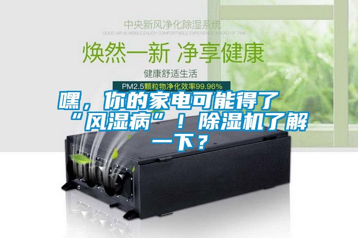 嘿，你的家電可能得了“風(fēng)濕病”！除濕機了解一下？