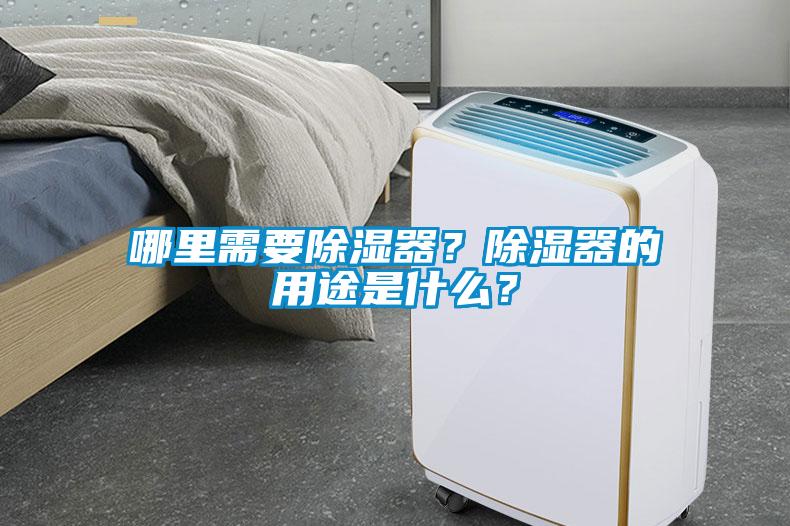 哪里需要除濕器？除濕器的用途是什么？