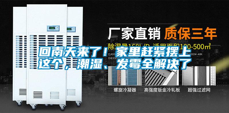 回南天來了！家里趕緊擺上這個，潮濕、發(fā)霉全解決了