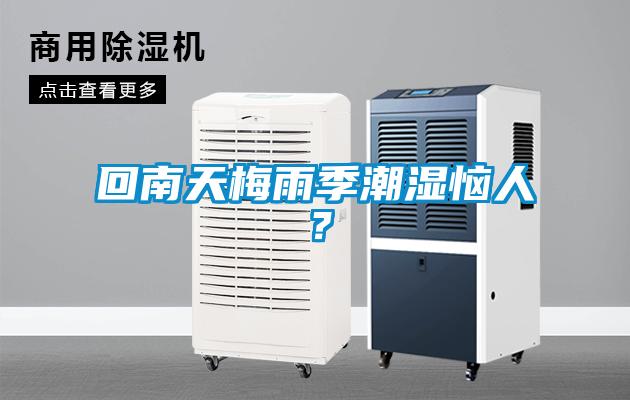 回南天梅雨季潮濕惱人？