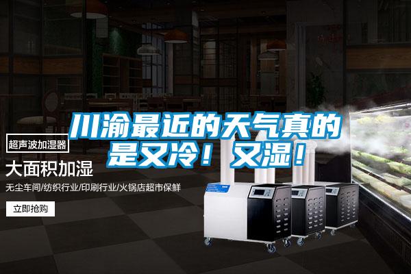 川渝最近的天氣真的是又冷！又濕！