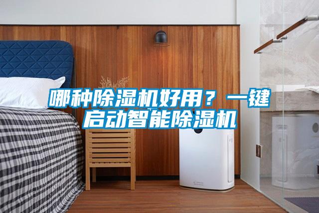 哪種除濕機好用？一鍵啟動智能除濕機