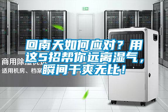 回南天如何應(yīng)對(duì)？用這5招幫你遠(yuǎn)離濕氣，瞬間干爽無比！