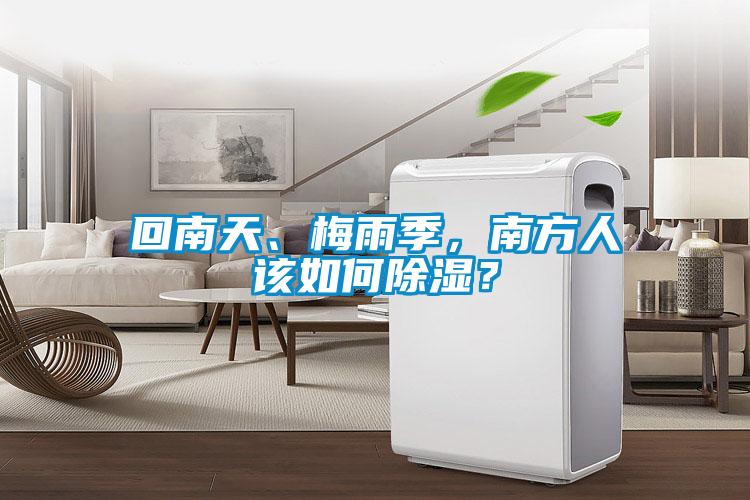 回南天、梅雨季，南方人該如何除濕？