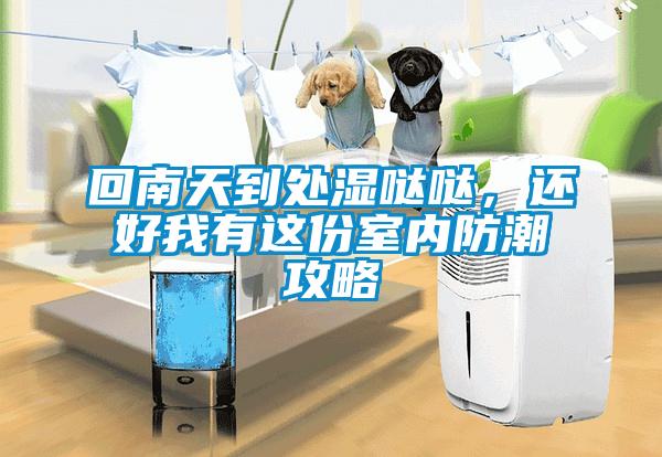 回南天到處濕噠噠，還好我有這份室內(nèi)防潮攻略