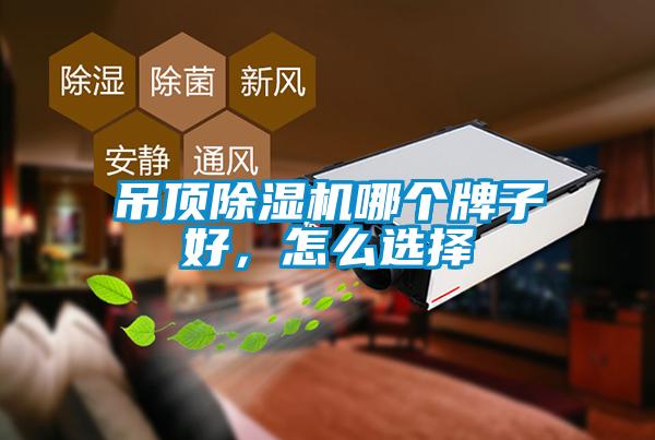 吊頂除濕機(jī)哪個牌子好，怎么選擇