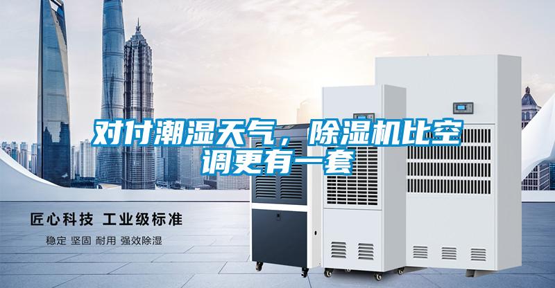 對付潮濕天氣，除濕機比空調(diào)更有一套