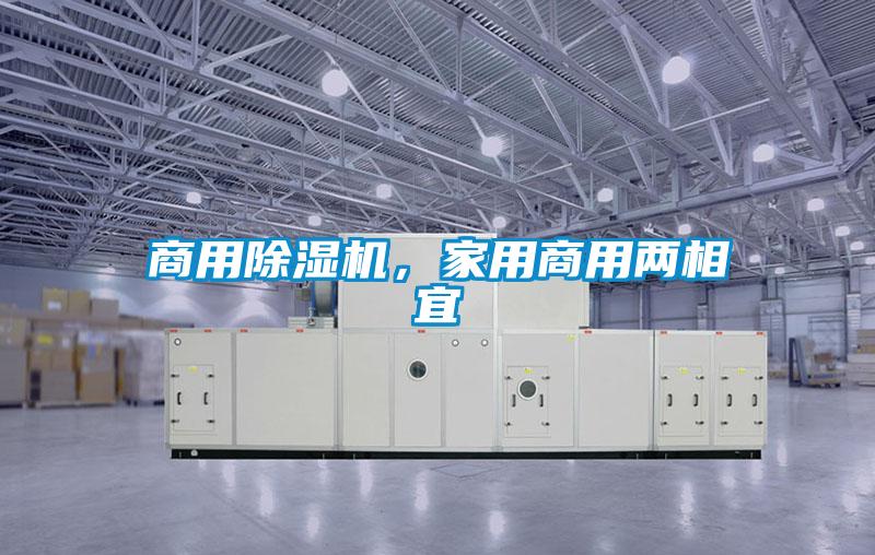 商用除濕機(jī)，家用商用兩相宜