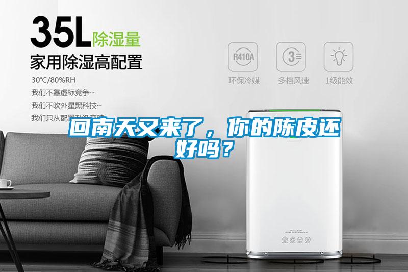 回南天又來了，你的陳皮還好嗎？