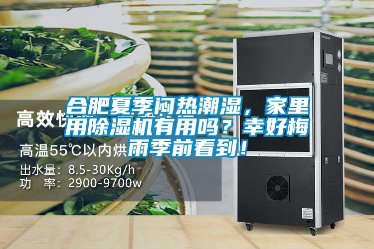 合肥夏季悶熱潮濕，家里用除濕機(jī)有用嗎？幸好梅雨季前看到！