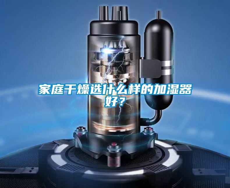 家庭干燥選什么樣的加濕器好？