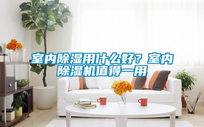 室內(nèi)除濕用什么好？室內(nèi)除濕機(jī)值得一用