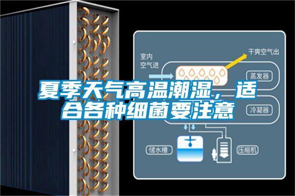 夏季天氣高溫潮濕，適合各種細菌要注意