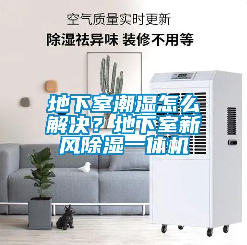 地下室潮濕怎么解決？地下室新風(fēng)除濕一體機