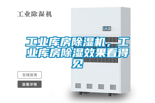 工業(yè)庫房除濕機(jī)，工業(yè)庫房除濕效果看得見