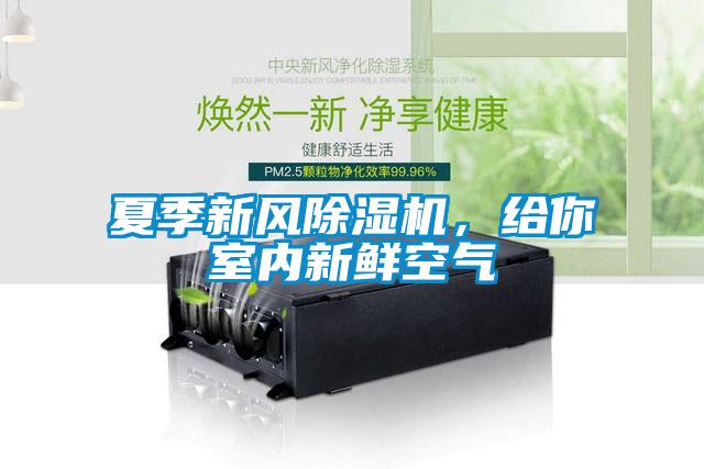 夏季新風除濕機，給你室內(nèi)新鮮空氣
