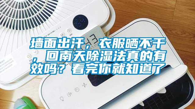 墻面出汗，衣服曬不干，回南天除濕法真的有效嗎？看完你就知道了