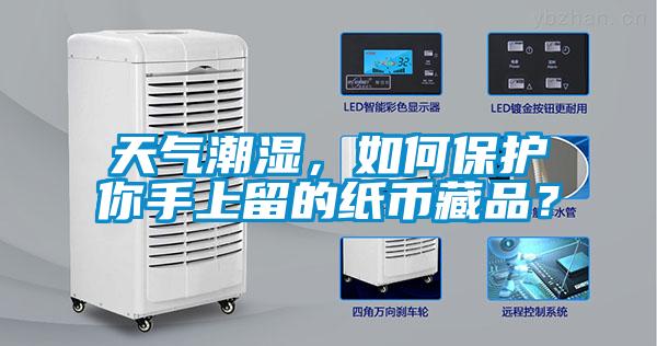 天氣潮濕，如何保護你手上留的紙幣藏品？