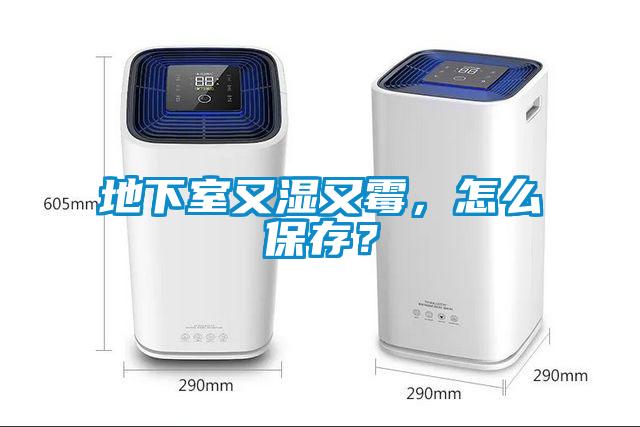 地下室又濕又霉，怎么保存？