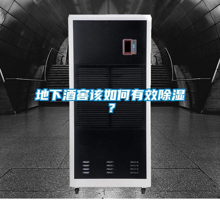 地下酒窖該如何有效除濕？