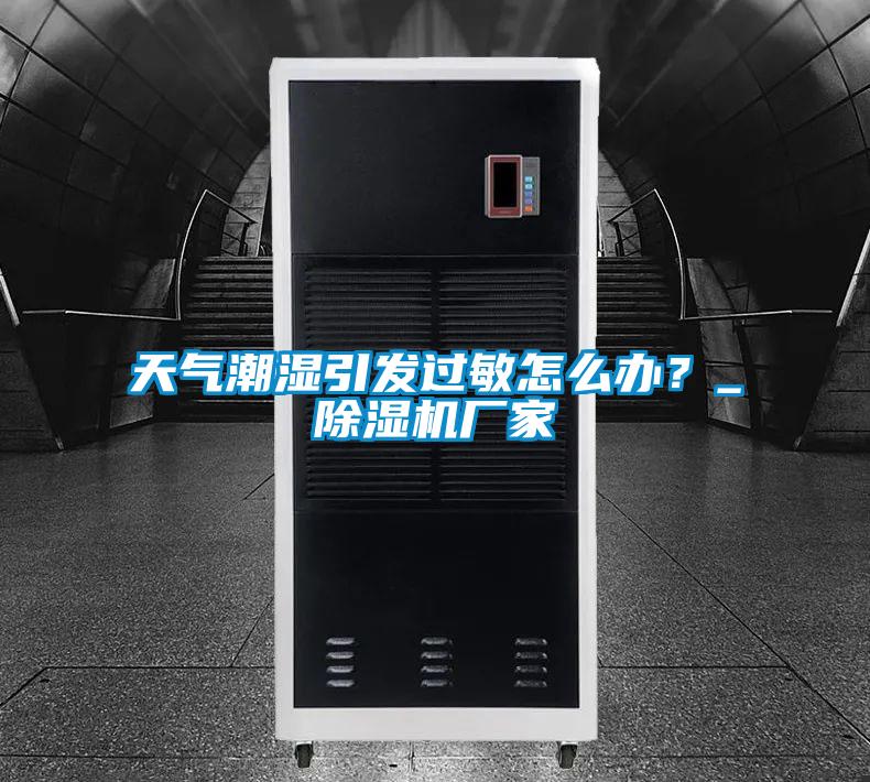 天氣潮濕引發(fā)過(guò)敏怎么辦？_除濕機(jī)廠家