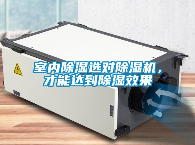 室內(nèi)除濕選對除濕機(jī)，才能達(dá)到除濕效果