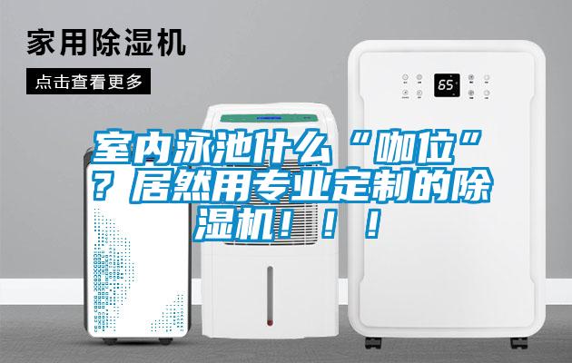 室內(nèi)泳池什么“咖位”？居然用專業(yè)定制的除濕機(jī)?。?！