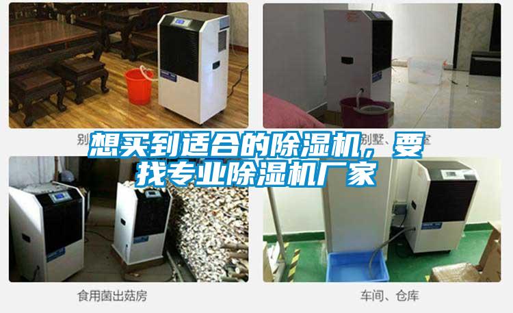 想買到適合的除濕機，要找專業(yè)除濕機廠家