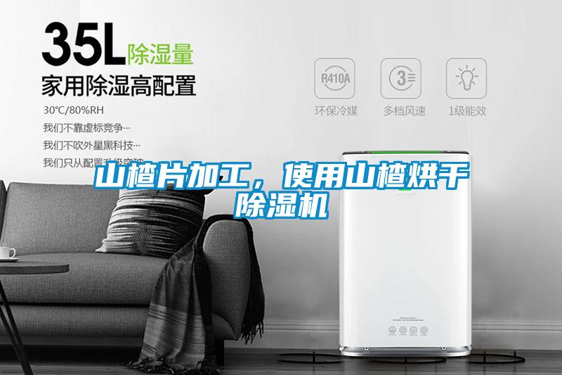 山楂片加工，使用山楂烘干除濕機(jī)