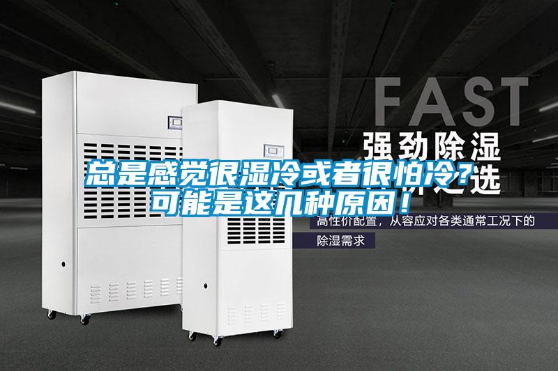 總是感覺很濕冷或者很怕冷？可能是這幾種原因！