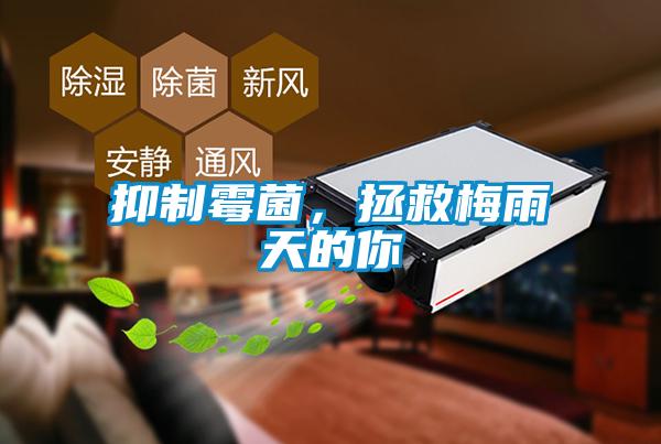 抑制霉菌，拯救梅雨天的你