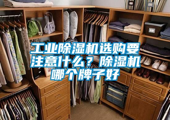 工業(yè)除濕機(jī)選購(gòu)要注意什么？除濕機(jī)哪個(gè)牌子好