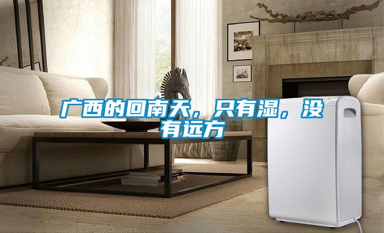 廣西的回南天，只有濕，沒有遠(yuǎn)方