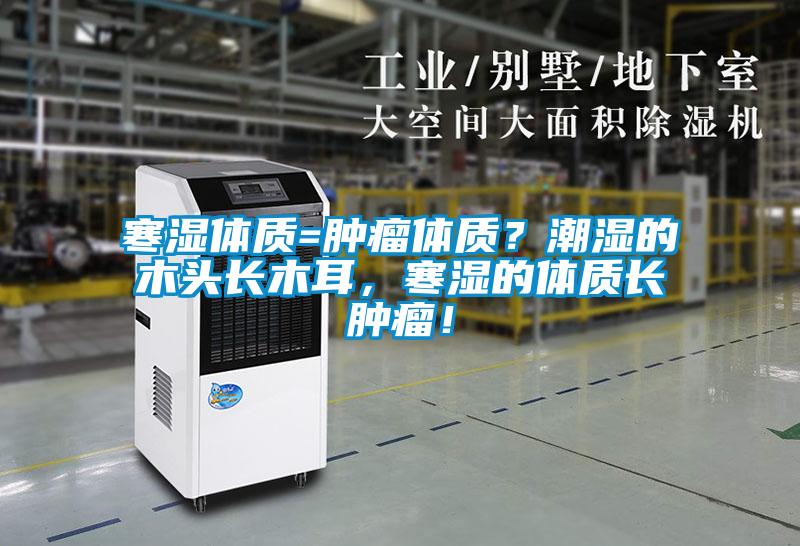 寒濕體質(zhì)=腫瘤體質(zhì)？潮濕的木頭長(zhǎng)木耳，寒濕的體質(zhì)長(zhǎng)腫瘤！