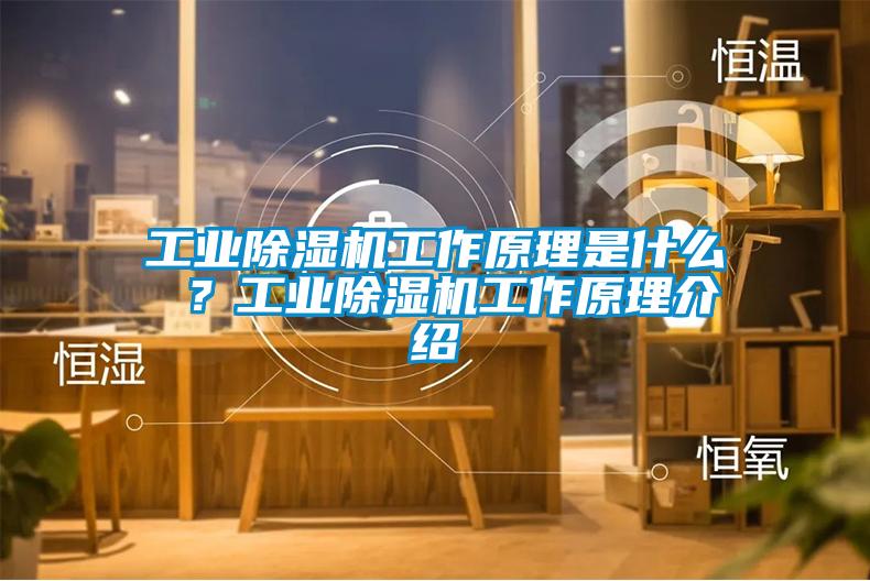 工業(yè)除濕機(jī)工作原理是什么 ？工業(yè)除濕機(jī)工作原理介紹