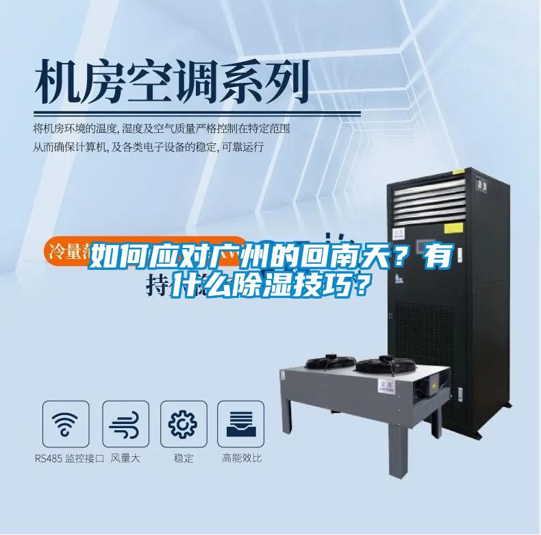 如何應(yīng)對(duì)廣州的回南天？有什么除濕技巧？