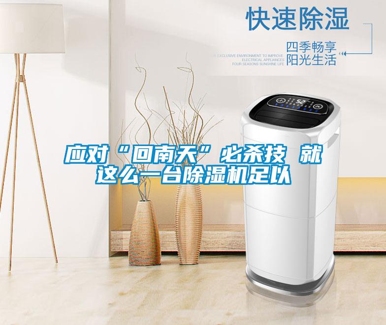 應(yīng)對“回南天”必殺技 就這么一臺(tái)除濕機(jī)足以