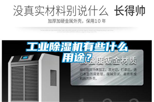 工業(yè)除濕機(jī)有些什么用途？